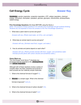 Gizmos: Cell Energy