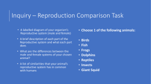 Reproductive System Comparison Task 
