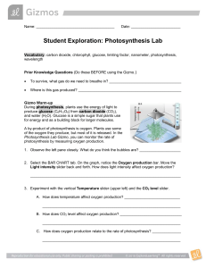 Student Exploration:  Photosynthesis Lab 