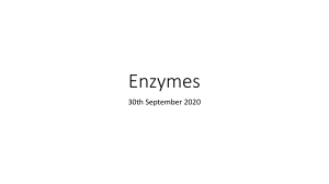 Enzymes intro
