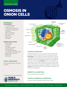 osmosis-in-onion-cells