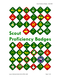 Scout - Badge Syll - with badge diag-1