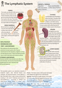 The Lymphatic System