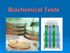 Biochemical identification