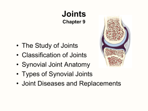 Chap9 Joints