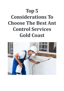 Top 5 Considerations To Choose The Best Ant Control Services Gold Coast