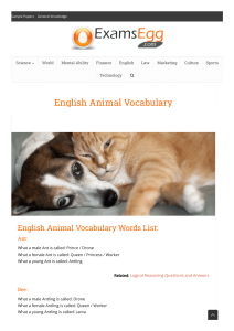 Animal Vocabulary - Male, Female and Young Animals 1650356654577