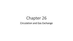 GENZOO LEC CHAPTER 26 CIRCULATION AND GAS EXCHANGE
