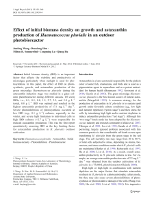 Effect of initial biomass density on growth and astaxanthin