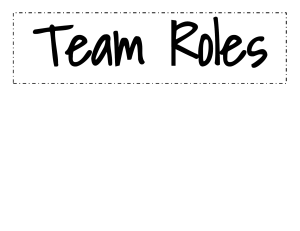 Team Roles Questions WHITE  (lacy)