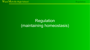 Regulation (maintaining homeostasis)-handout