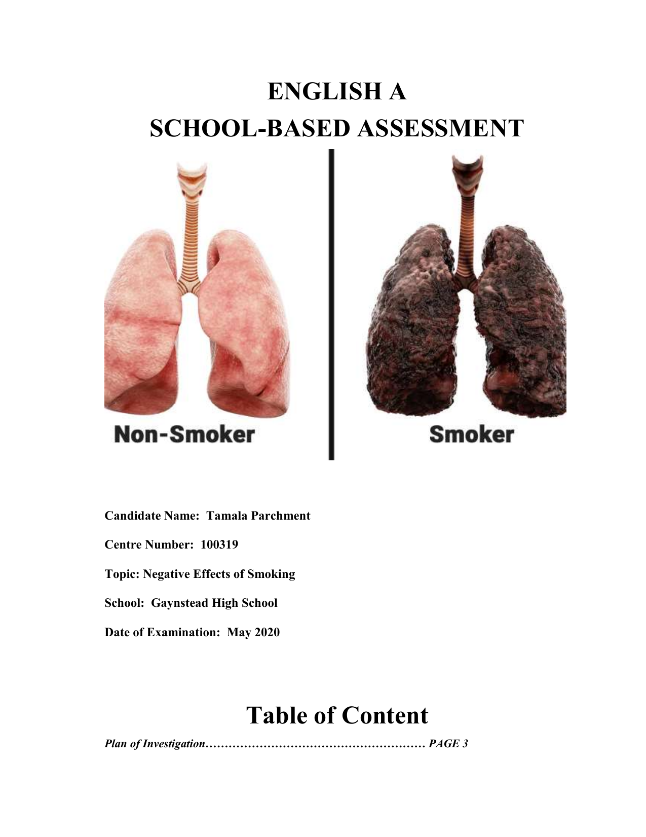 Sample Plan Of Investigation For English Sba Holidaymoms