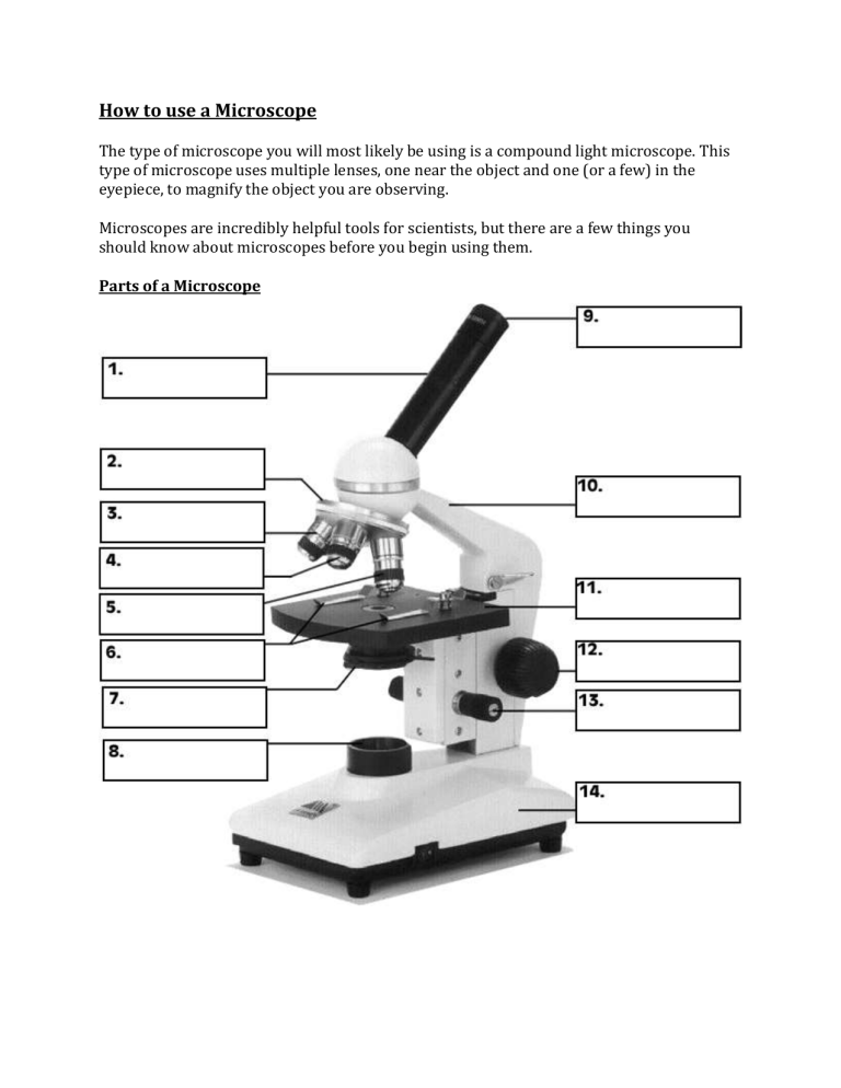 Microscope Handout Answers