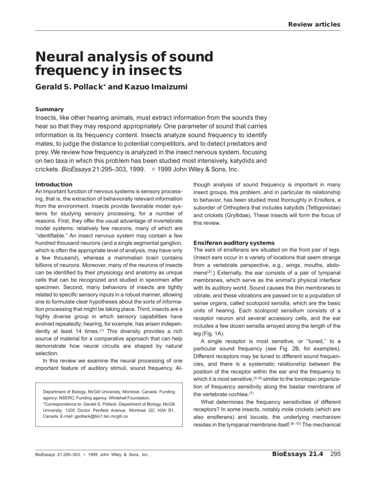 neural-analysis-of-sound-frequency-in-insects