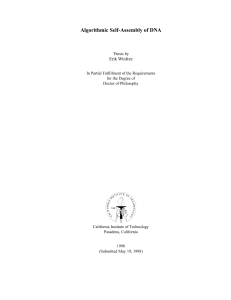 Erik Winfree: Algorithmic Self-Assembly of DNA -- PhD thesis -- 1998