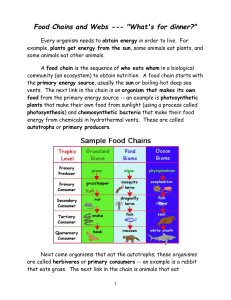 food chains and webs Key