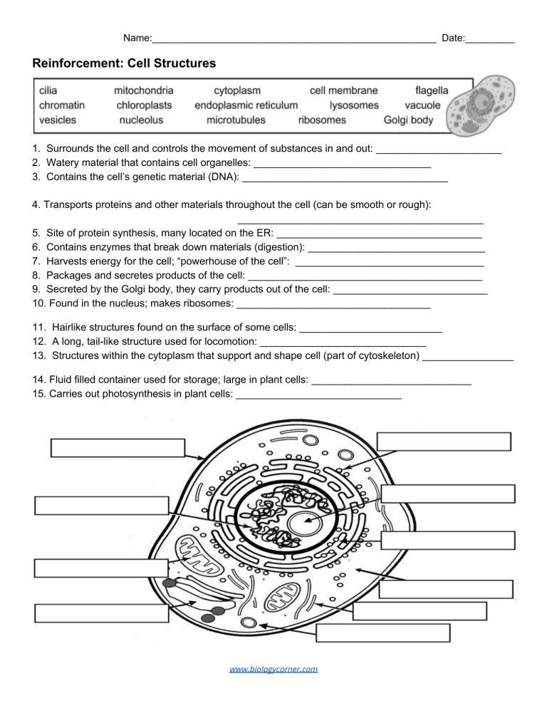 Reinforcement Cell Structures