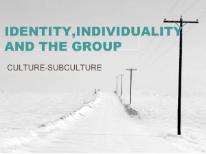 THE OUTSIDERS-IDENTITY,INDIVIDUALITY AND THE GROUP