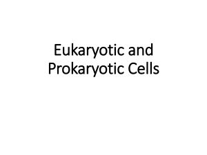 prokaryotes vs. eukaryotes
