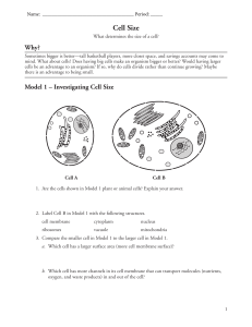Cell Size Worksheet (1)