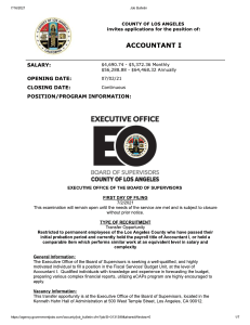 Accountant I - Job Description CEO
