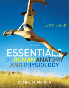 Testbank-Anatomy-&-Physiology