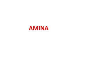 2. AMINA