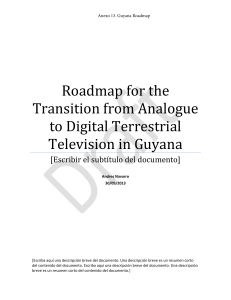 Anexo 13. Guyana Roadmap