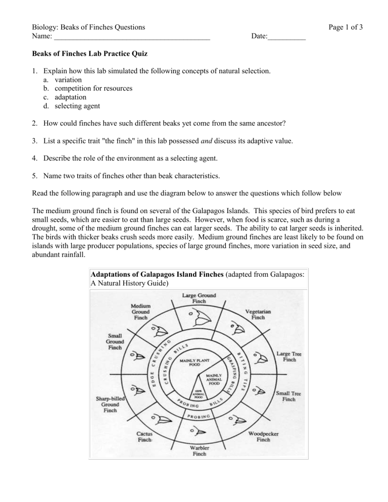 BeaksofFinchesQuizQuestions