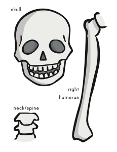 US-T-189-Life-Size-Skeleton-Cut-Out ver 1