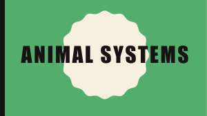 Animal systems