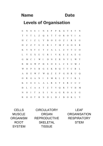 Levels of organisation worksheet