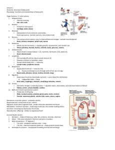 Anatomy exam 1 