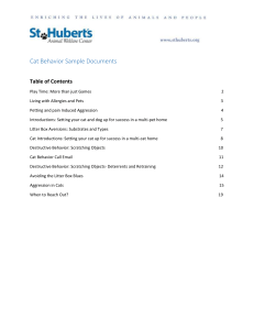 Cat Behavior Sample Documents