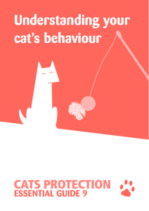 eg09 understanding your cats behaviour