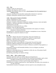 Medical Terminology Root Words Reference Guide