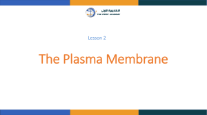 plasma membrane p1