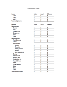 Example BUDGET SHEET