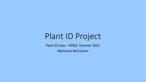 Plant ID Project-McCoshen