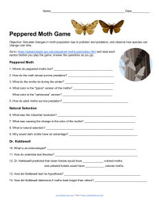 Peppered Moth Game