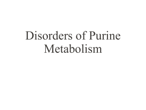 Disorders of Purine Metabolism