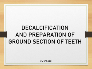 DECALCIFICATION  AND GROUND SECTION OF TOOTH -SS