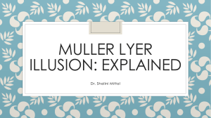 Muller Lyer Illusion