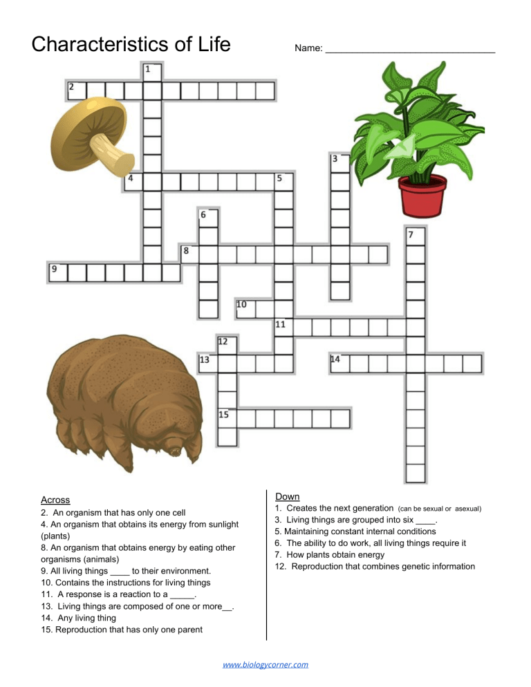 Characteristics Of Life Crossword