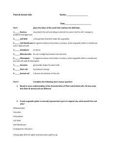 Plant and animal cell worksheet 