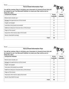 15 d Horse Breed Flyer Rubric