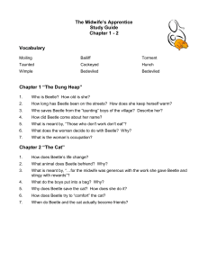 chapter1-2 worksheets