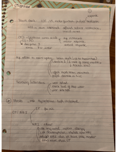 Neurology Notes: Neuro Checks, GCS, Stroke, Imaging