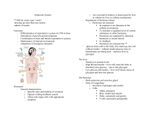 Endocrine System