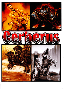 New Cerberus Folder